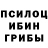 Псилоцибиновые грибы Magic Shrooms Jey Fom