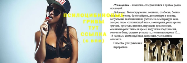 apvp Майский