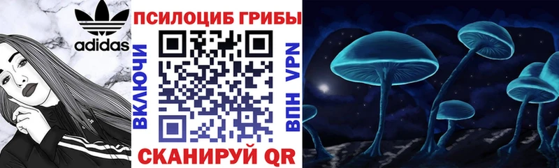 Купить  Волжский  Галлюциногенные грибы ЛСД 